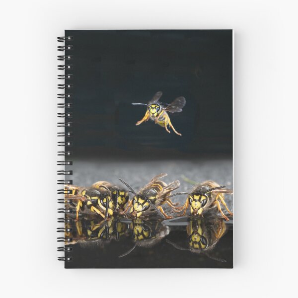 Item preview, wasps drinking and flying designed and sold by alan tunnicliffe.