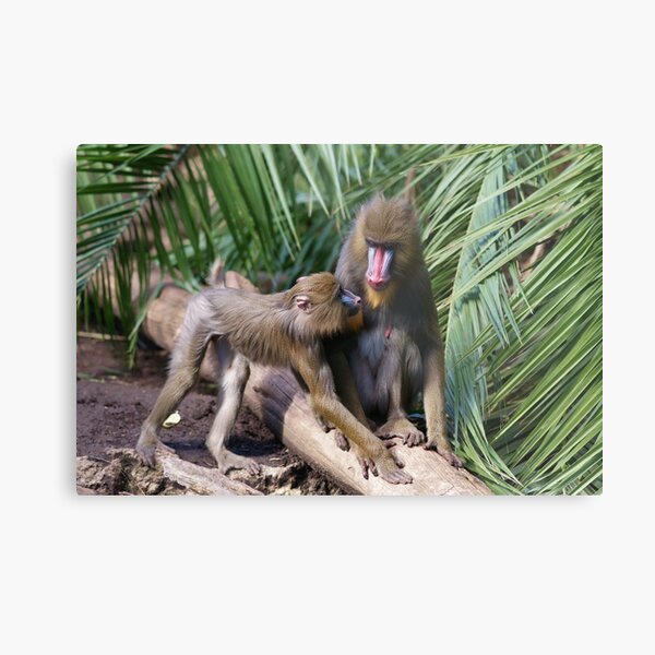 "mother and son" Metal Print
