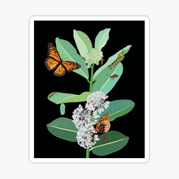 Monarchs and milkweed Sticker