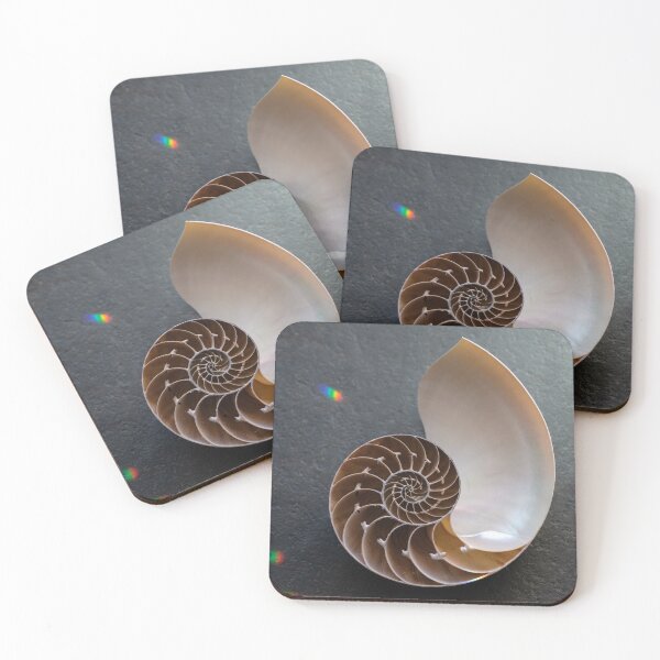 Item preview, Nautilus Seashell And Crystal Rainbow Drops designed and sold by Elena Ray.