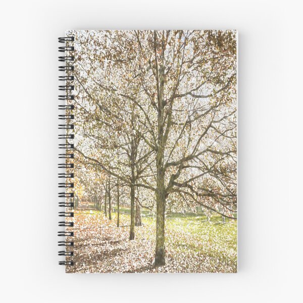 Item preview, Greenwich Park London Vintage designed and sold by Londonimages.