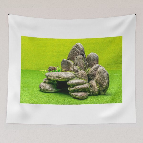 Item preview, Buffalo Tor 1 designed and sold by Steve Purnell Photography.