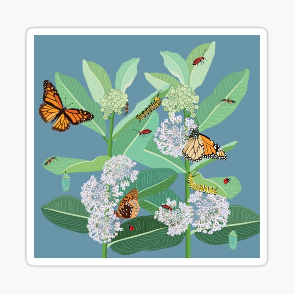 Monarchs and milkweed Sticker