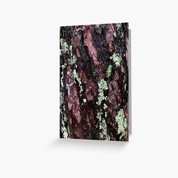 Item preview, Lichen on Cedar designed and sold by elizarw.