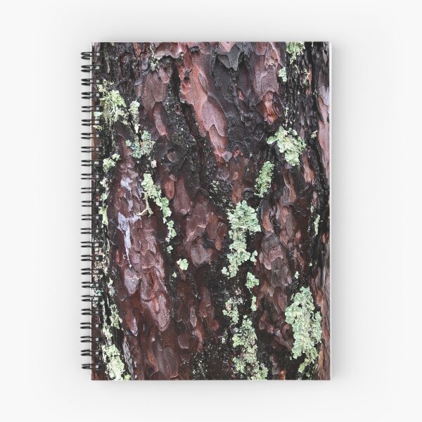 Item preview, Lichen on Cedar designed and sold by elizarw.