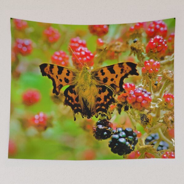 Item preview, TUTTI FRUTTI  designed and sold by NICK COBURN PHILLIPS.