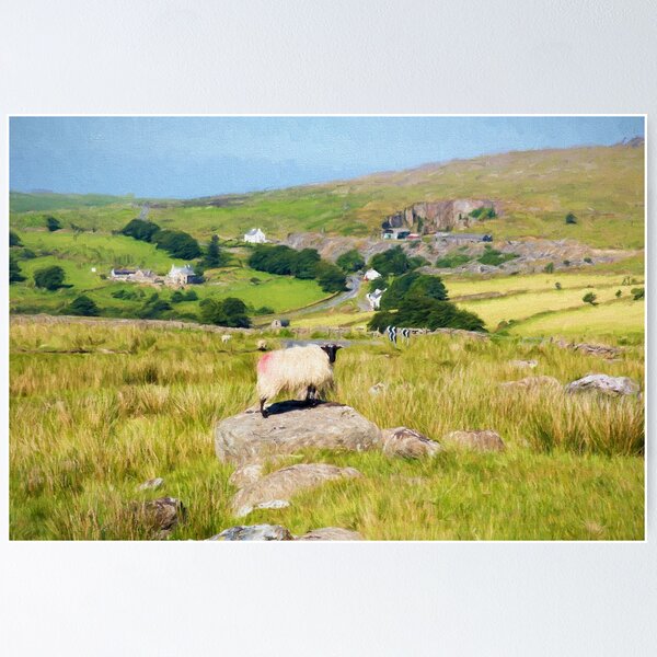 Item preview, Merrivale Dartmoor Devon with Sheep on a Rock designed and sold by acceleratorhams.