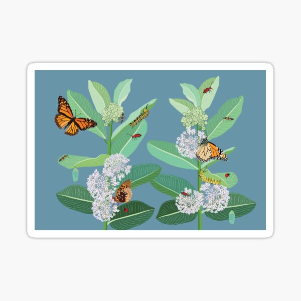 Monarch butterflies and milkweed Sticker