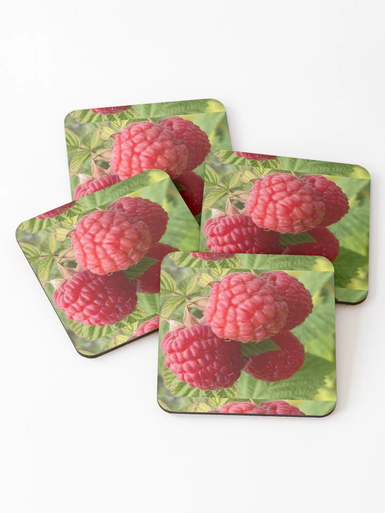 Thumbnail 1 of 5, Coasters (Set of 4), Closeup Red Raspberry designed and sold by Amanda1775.