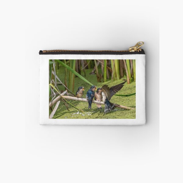 Item preview, Baby Swallows having lunch designed and sold by Sylvia Labelle.