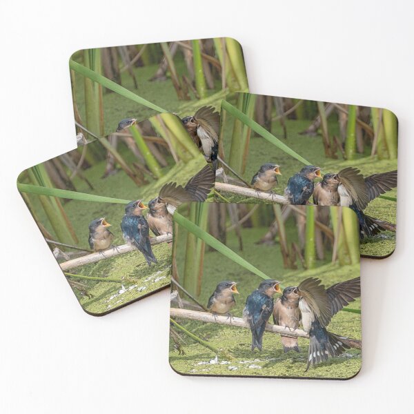 Item preview, Baby Swallows having lunch designed and sold by Sylvia Labelle.