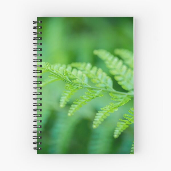 Item preview, Fern designed and sold by Keith's Photo Artistry.