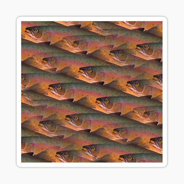 Trout Fishing Rainbow Trout Pattern Oregon State Map - Rainbow Trout - T- Shirt