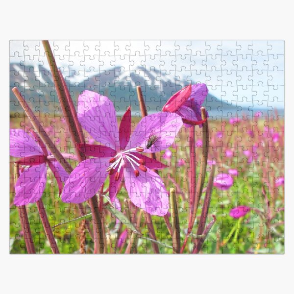 Watercolor Fly, House Fly 02, and Dwarf Fireweed, Dallvik, Iceland Jigsaw Puzzle