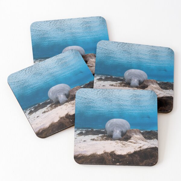 Item preview, Manatee Sleeping Soundly designed and sold by Ronald Missick.