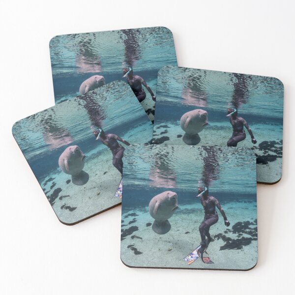Item preview, Manatee Story Telling designed and sold by Ronald Missick.