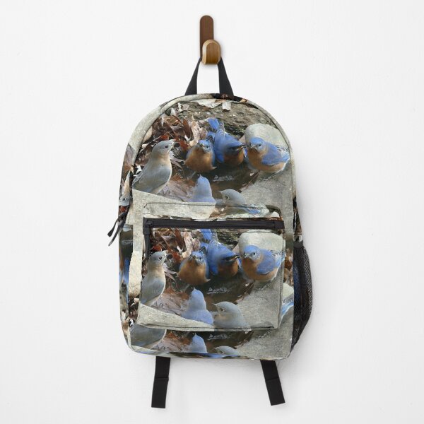 Item preview, Flock Around, Everybody! designed and sold by Jean Gregory Evans.