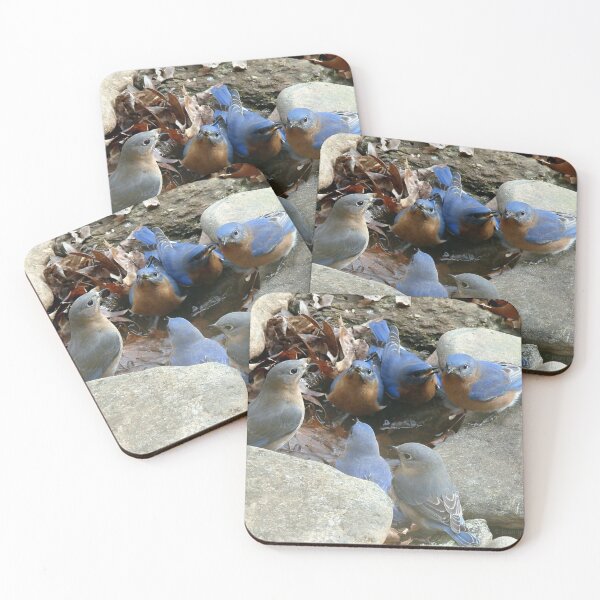 Item preview, Flock Around, Everybody!  designed and sold by Jean Gregory Evans.