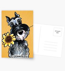Sunny Schnauzer Postcards