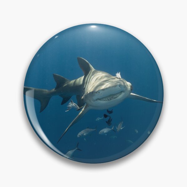 Item preview, Smiling Shark designed and sold by Ronald Missick.
