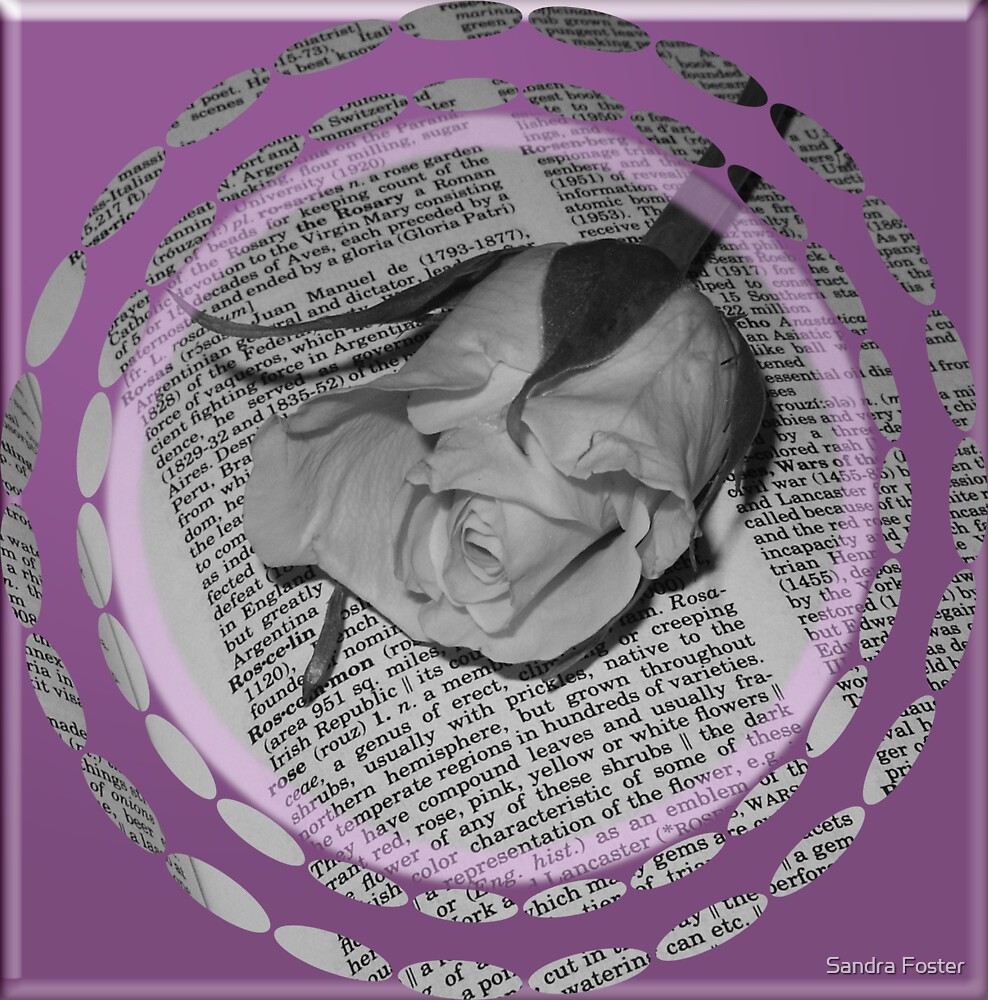 "Rose In The Dictionary" by Sandra Foster Redbubble
