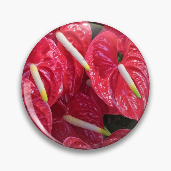 Item preview, Red Anthurium designed and sold by Lynn Bolt.