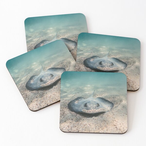 Item preview, Stingray Stare designed and sold by Ronald Missick.