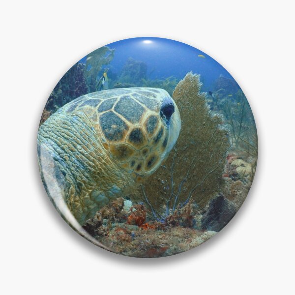 Item preview, Turtle Eye View  designed and sold by Ronald Missick.