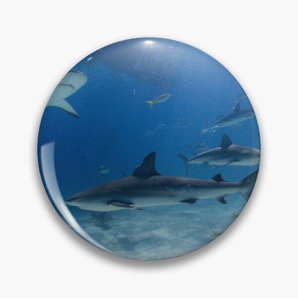 Item preview, What Lies beneath designed and sold by Ronald Missick.