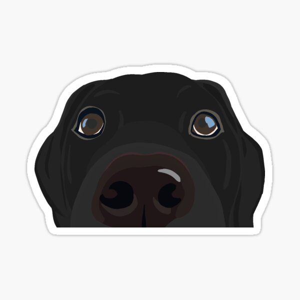 Curious Black Lab Puppy Sticker