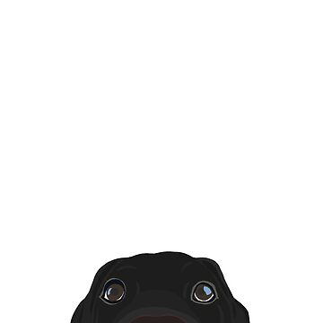 Artwork thumbnail, Curious Black Lab Puppy by kherrin