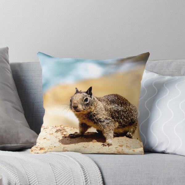 Item preview, California Ground Squirrel Photograph designed and sold by ValeriesGallery.
