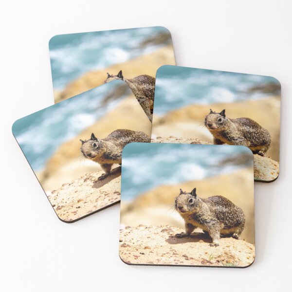 Item preview, California Ground Squirrel Photograph designed and sold by ValeriesGallery.