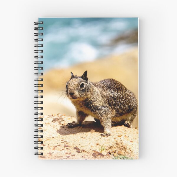 Item preview, California Ground Squirrel Photograph designed and sold by ValeriesGallery.
