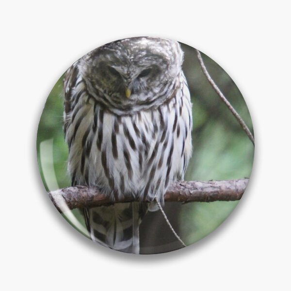 Item preview, Light Phase Barred Owl designed and sold by RichImage.