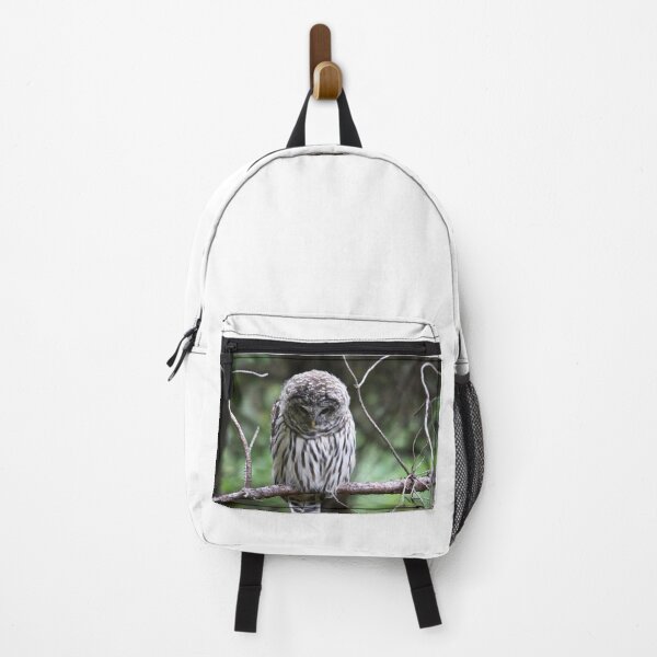 Item preview, Light Phase Barred Owl designed and sold by RichImage.