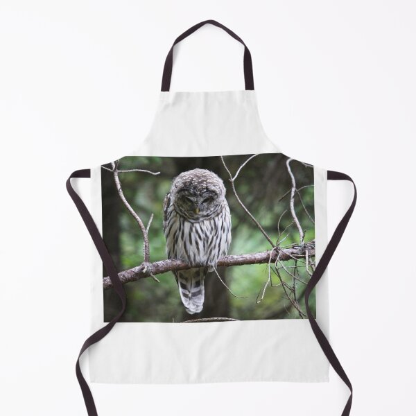 Item preview, Light Phase Barred Owl designed and sold by RichImage.