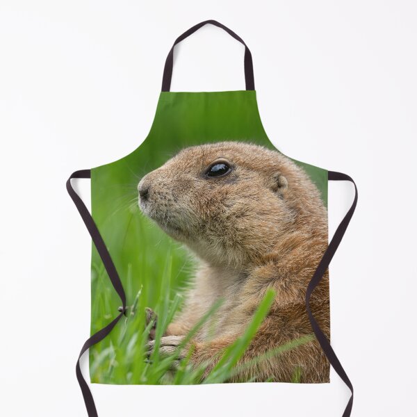 Item preview, Black-tailed prairie dog in the grass designed and sold by rawshutterbug.