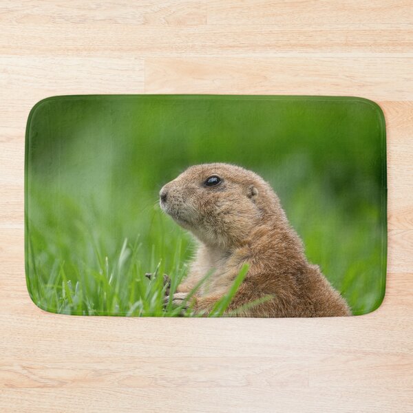 Item preview, Black-tailed prairie dog in the grass designed and sold by rawshutterbug.