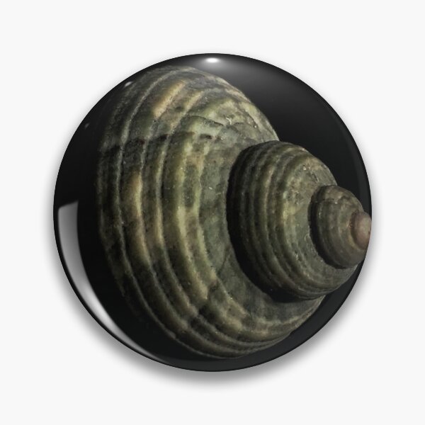 Item preview, Seashell designed and sold by Abhitha Mohan.