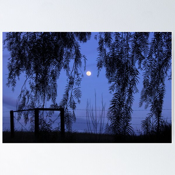 Item preview, Otay Moonrise designed and sold by Chris Whitney.