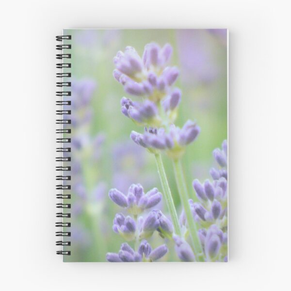 Item preview, Lavender in Soft Focus designed and sold by Lynn Bolt.