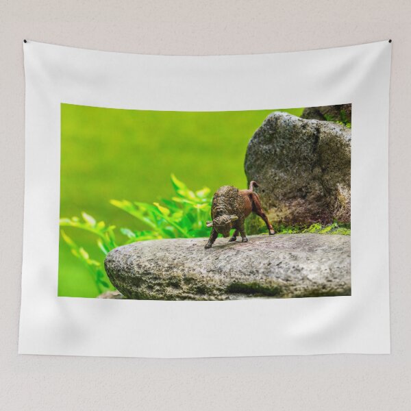 Item preview, Buffalo Tor 2 designed and sold by Steve Purnell Photography.
