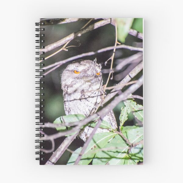 Item preview, Marbled Frogmouth designed and sold by John Donkin.