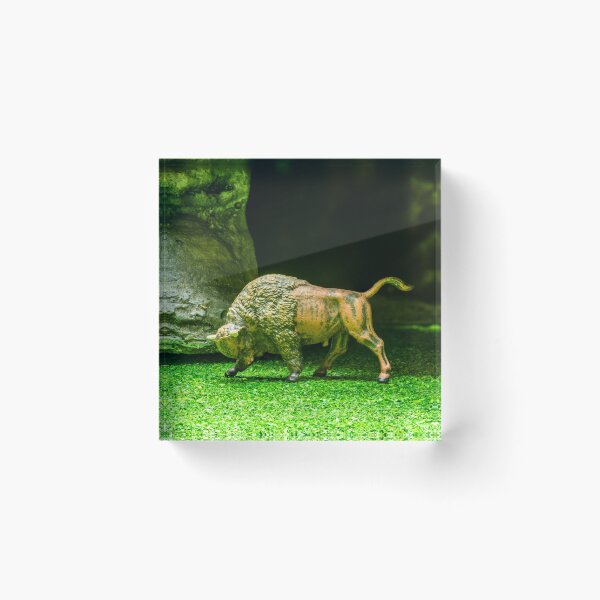 Item preview, Buffalo Tor 3 designed and sold by Steve Purnell Photography.