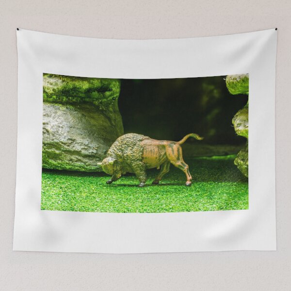 Item preview, Buffalo Tor 3 designed and sold by Steve Purnell Photography.