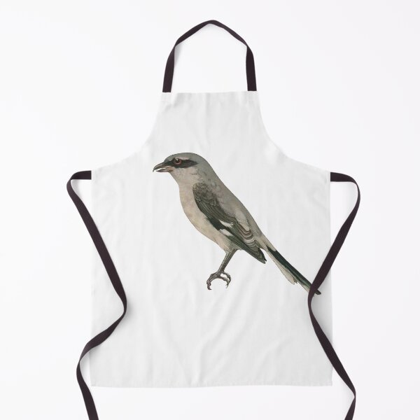 Item preview, Bird Art - great grey shrike - Vintage Print Art designed and sold by Studio66Designs.
