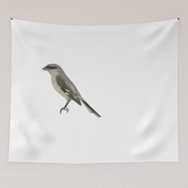 Item preview, Bird Art - great grey shrike - Vintage Print Art designed and sold by Studio66Designs.