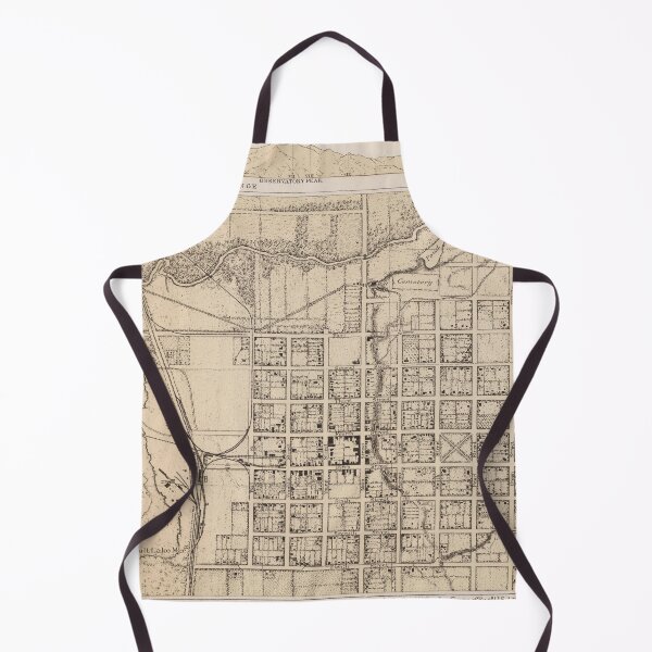 Item preview, Vintage Map of Ogden UT (1877) designed and sold by BravuraMedia.