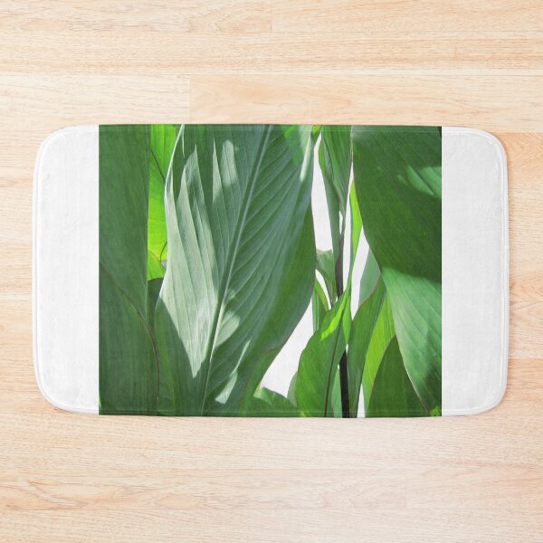 Item preview, Canna plant designed and sold by HerbertBroses.